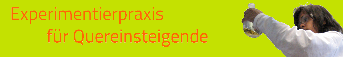 Fortbildungsangebot für Quereinsteigende